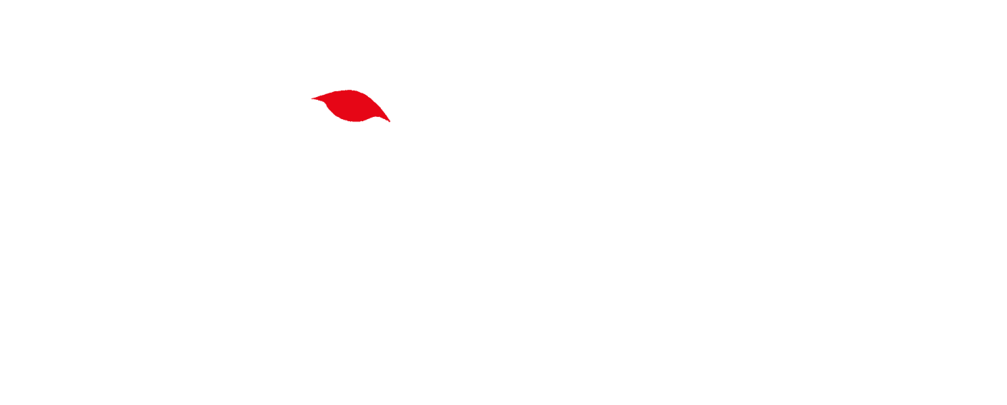 Gepard Medical Logo